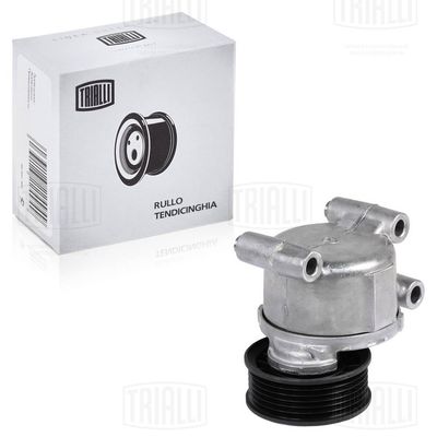 Ролик натяжителя ремня CAFFARO 8493