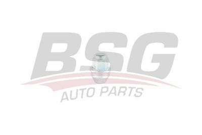 Гайка колеса BSG BSG30230049