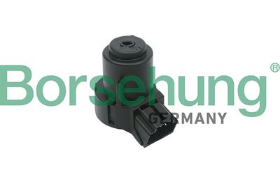 Контактная группа замка зажигания Borsehung B17994