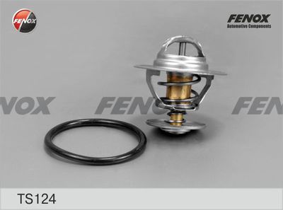 Термостат FENOX TS124