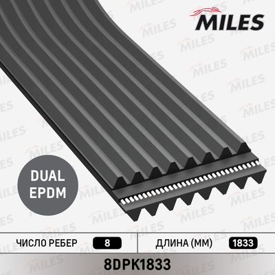 Ремень поликлиновой Miles 8DPK1833