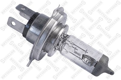 Лампа галогенная AYWIparts AW1910020