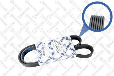 Ремень поликлиновой STELLOX 0711153SX