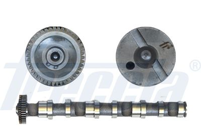 Распредвал FRECCIA CM052188