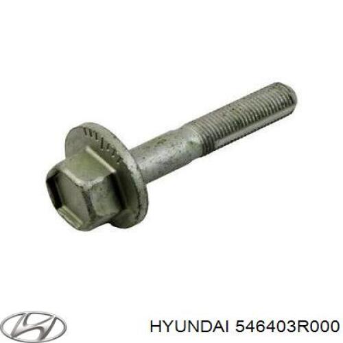 Болт Hyundai/Kia 546403R000