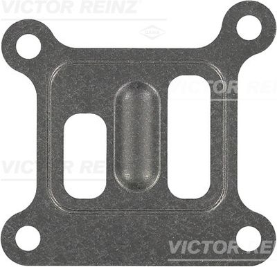 Прокладка насоса водяного VICTOR REINZ 703603800