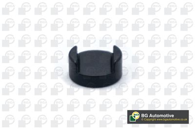 Коромысло клапана BGA TP3999