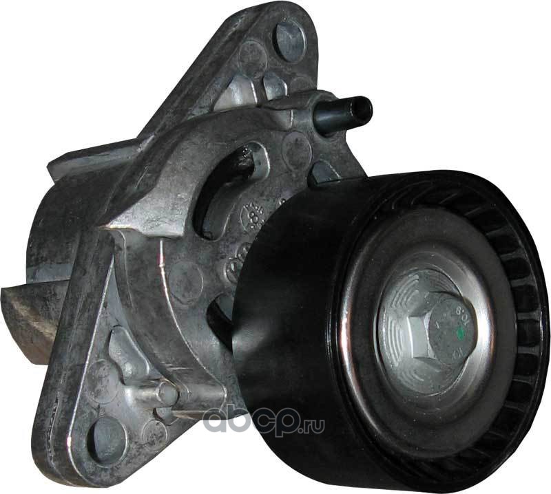 Ролик натяжной приводного ремня RENAULT 8200603359