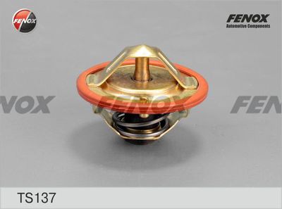 Термостат FENOX TS137