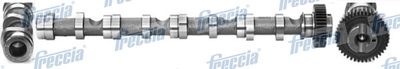 Распредвал FRECCIA CM052195