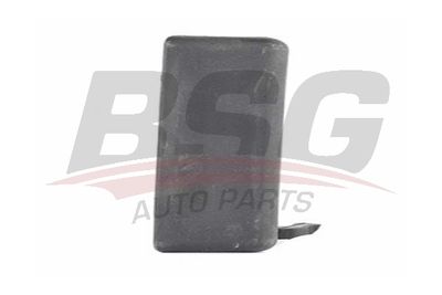 Ручка двери BSG BSG30970036